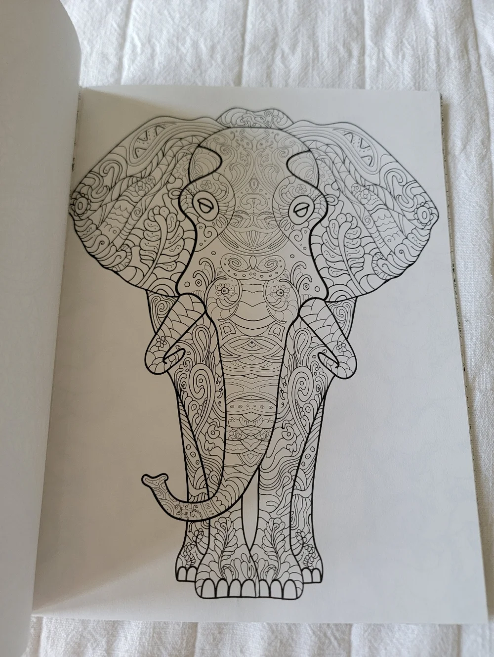 Set of 2 Coloring Books Relax & Color and Living Wonders Color Art